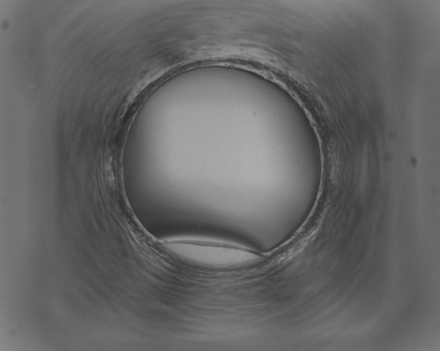 X0000073481497200608211611