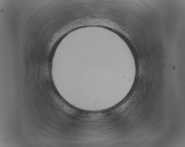 X0000073481498200608211611