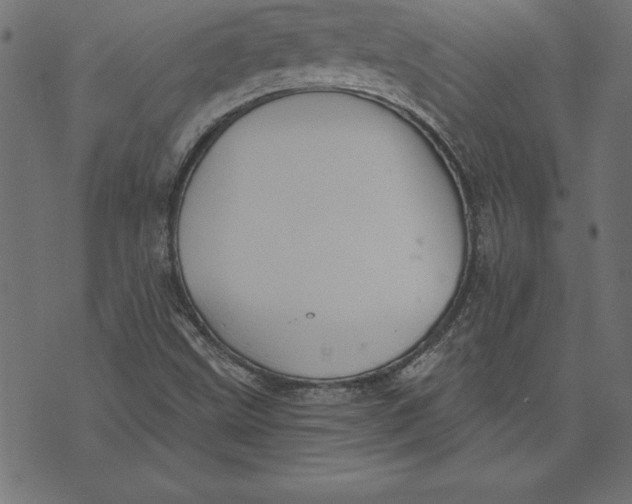 X0000073481499200608211612