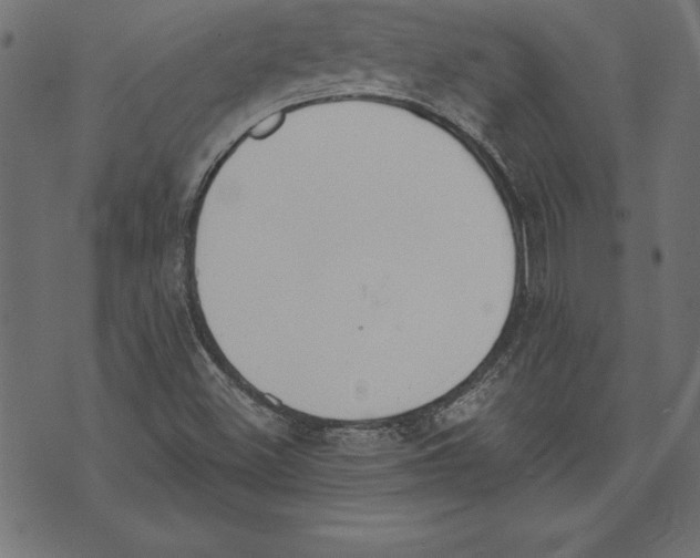 X0000073481500200608211612