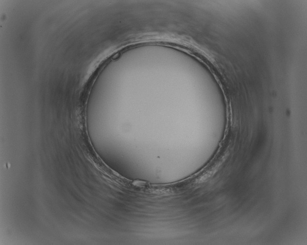 X0000073481501200608211612