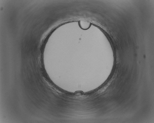 X0000073481502200608211612