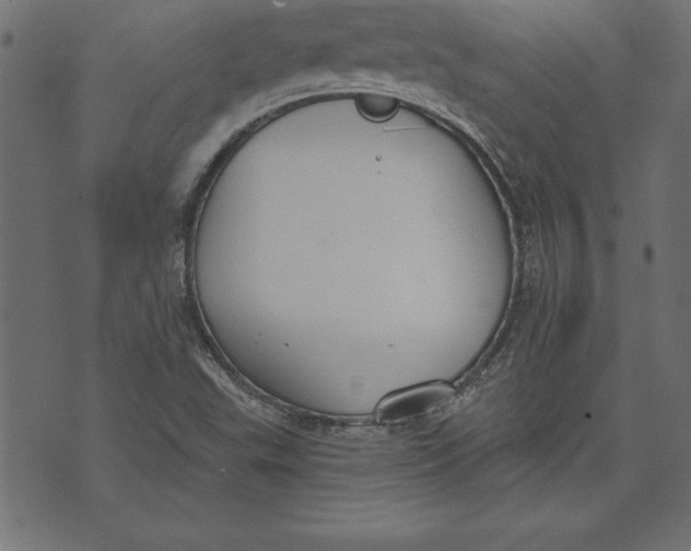 X0000073481503200608211612