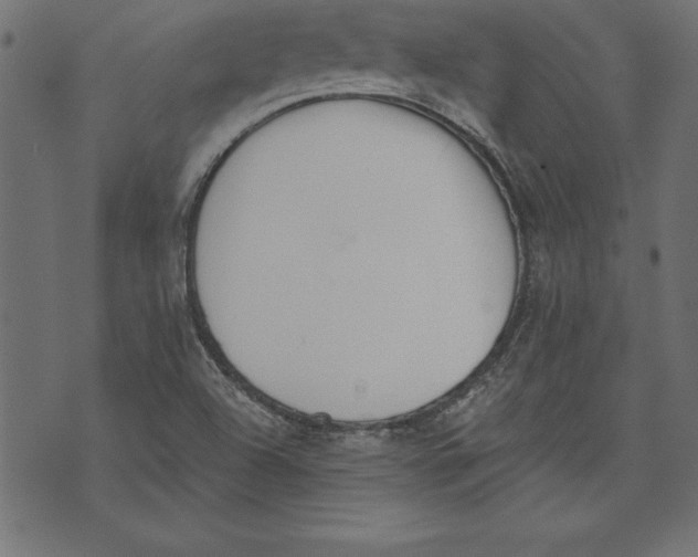 X0000073481504200608211612