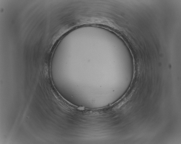 X0000073481505200608211612