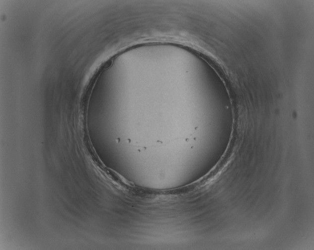 X0000073481506200608211612