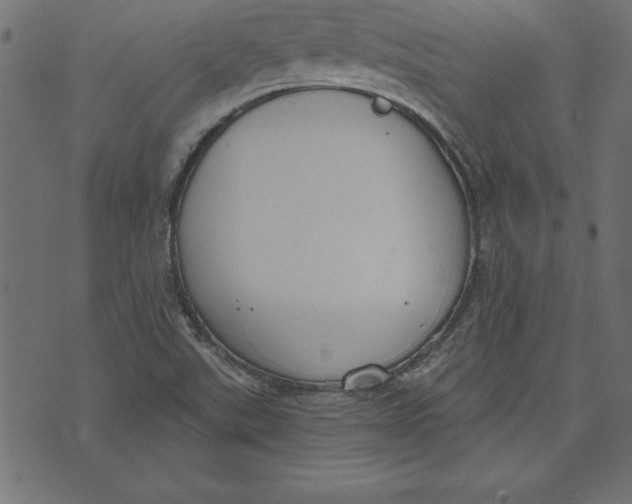 X0000073481507200608211612