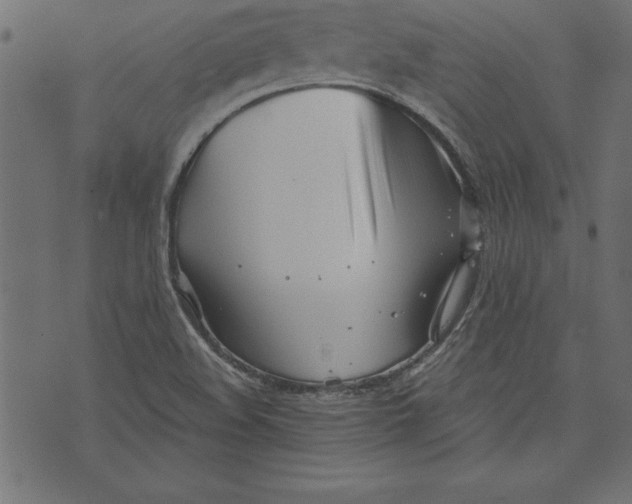 X0000073481508200608211612