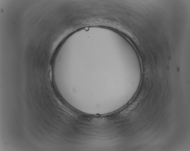 X0000073481509200608211612