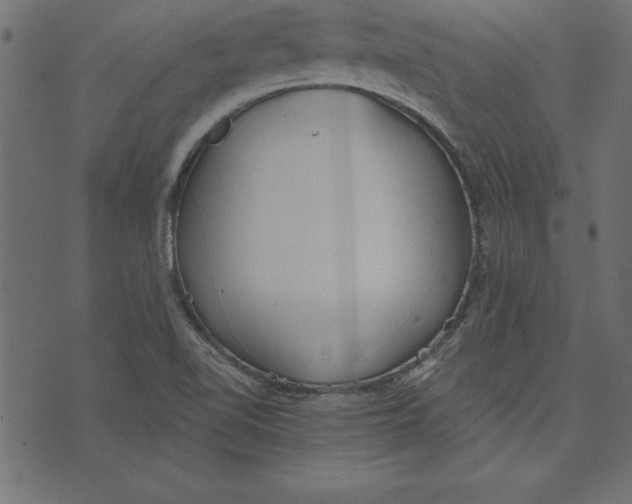 X0000073481510200608211612