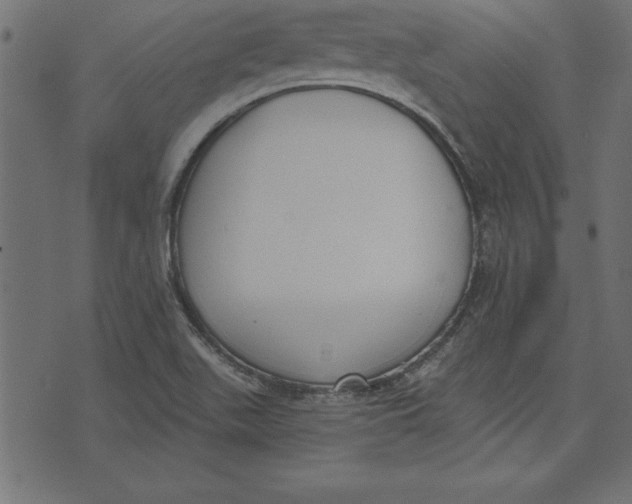 X0000073481511200608211612