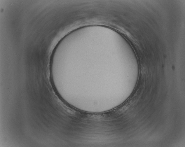 X0000073481512200608211612