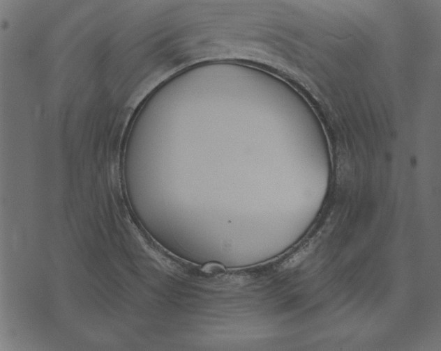 X0000073481513200608211612