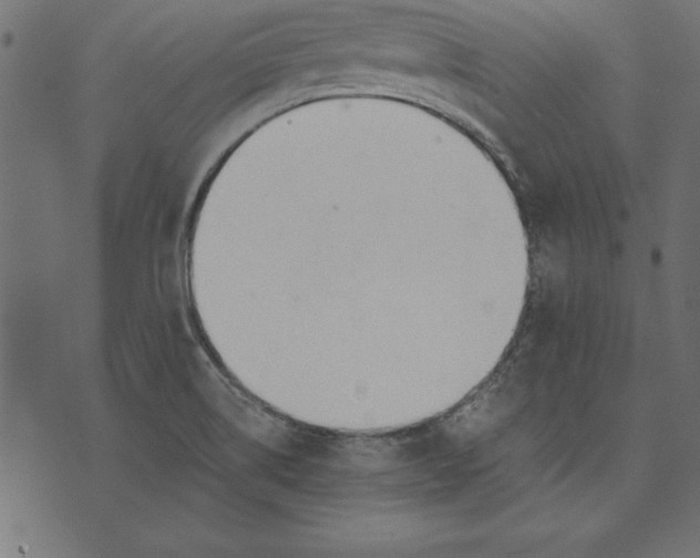 X0000073481514200608211612