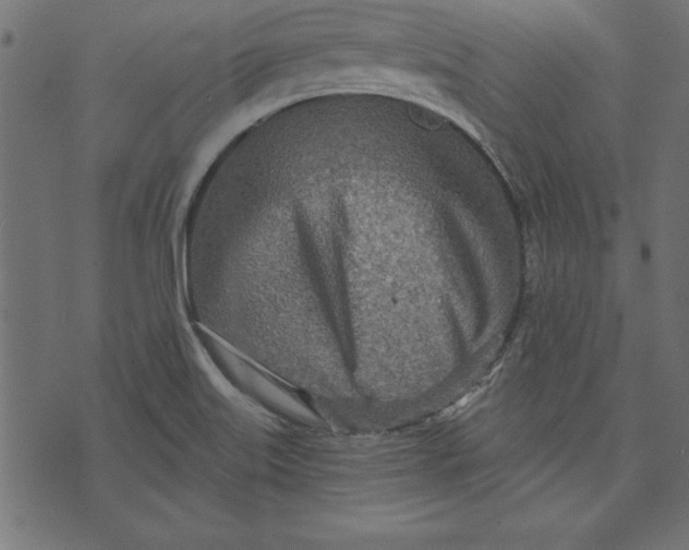 X0000073481515200608211612