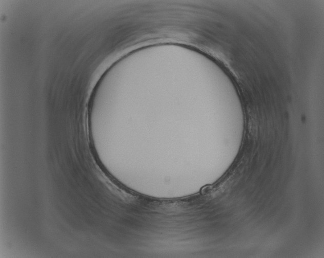 X0000073481516200608211612