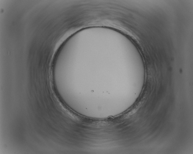 X0000073481517200608211612