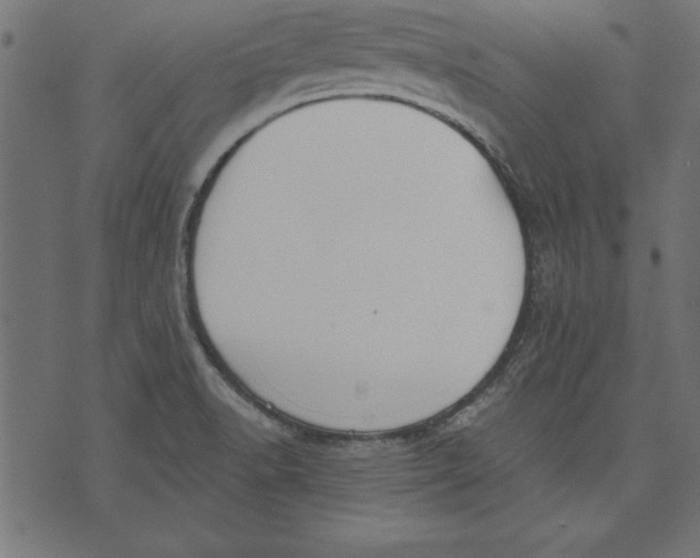 X0000073481518200608211612