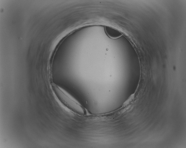 X0000073481519200608211612