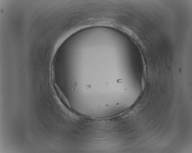 X0000073481520200608211612