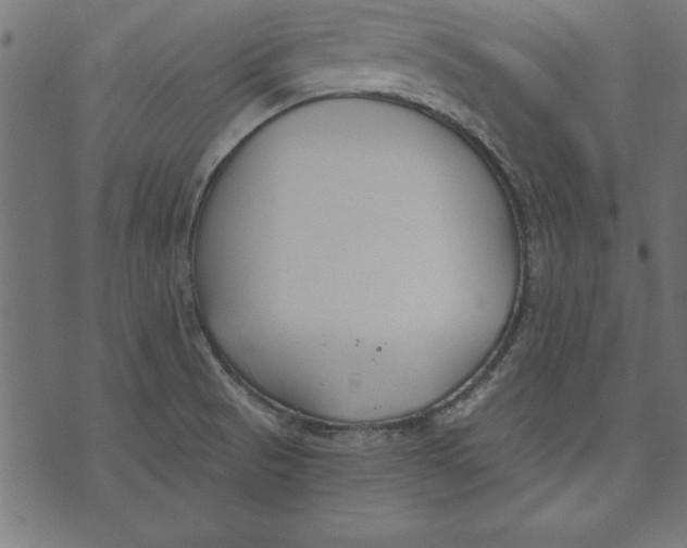 X0000073481521200608211612