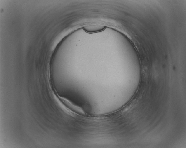 X0000073481523200608211612