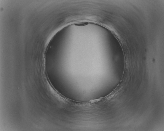 X0000073481524200608211612