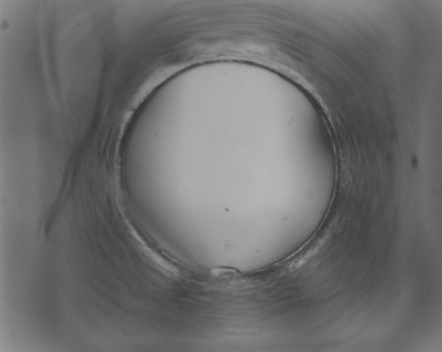 X0000073481525200608211612