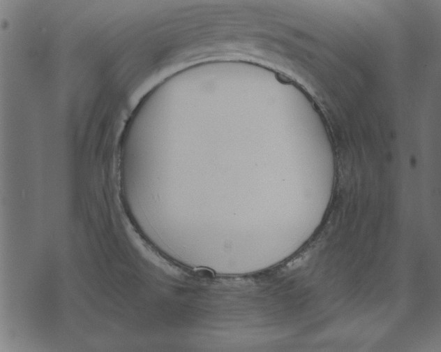 X0000073481526200608211612