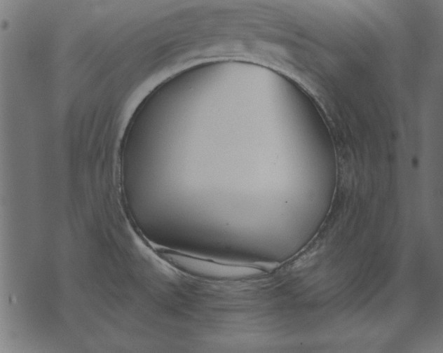 X0000073481527200608211612