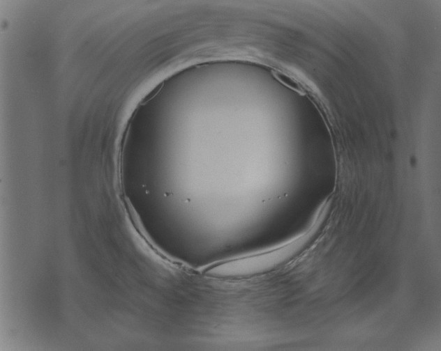 X0000073481528200608211612