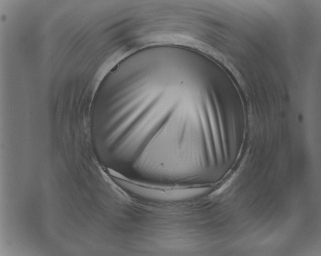 X0000073481529200608211612