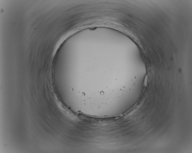 X0000073481530200608211612