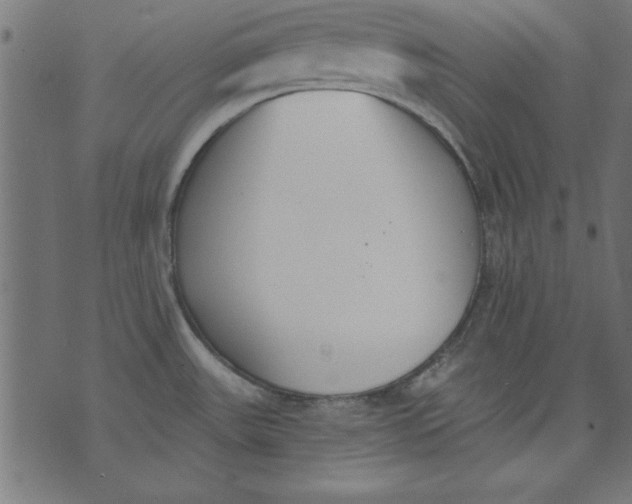 X0000073481531200608211612