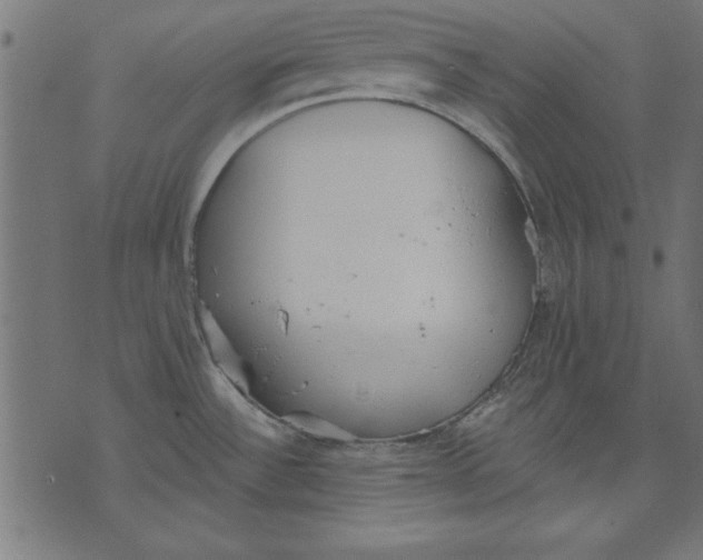 X0000073481532200608211612