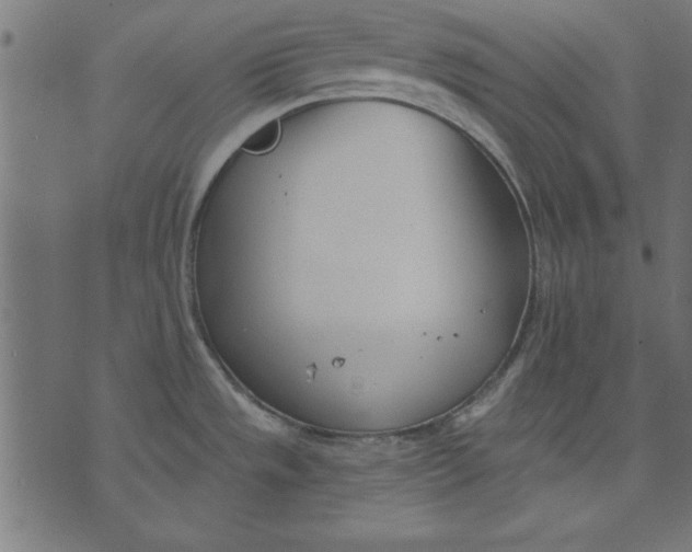 X0000073481533200608211612