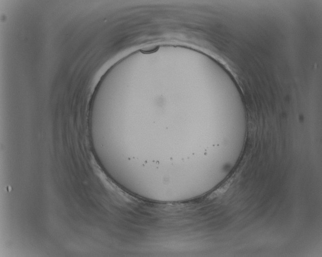 X0000073481534200608211612