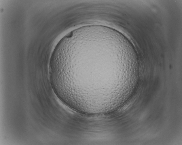 X0000073481535200608211612