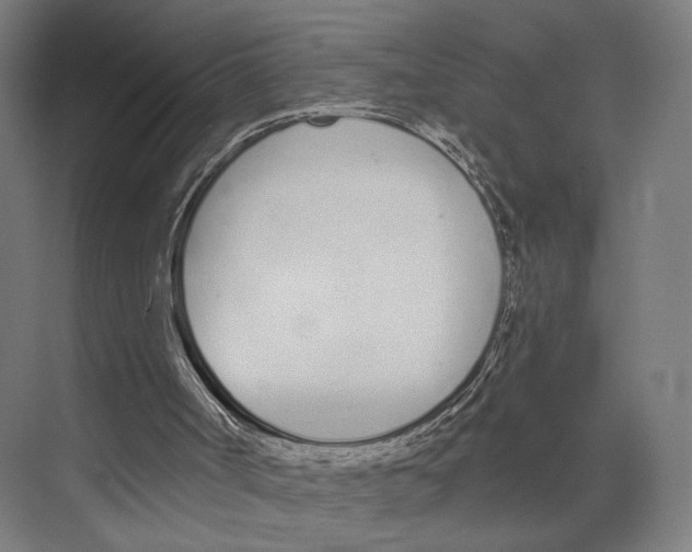 X0000073480002200608281601