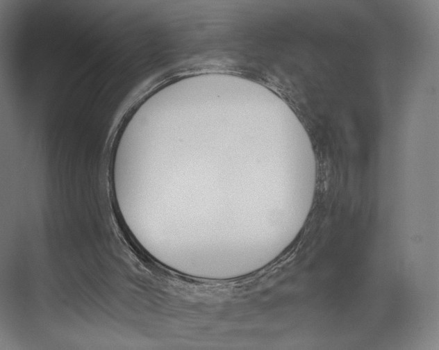 X0000073480004200608281601