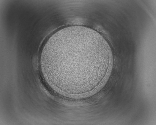 X0000073480012200608281601