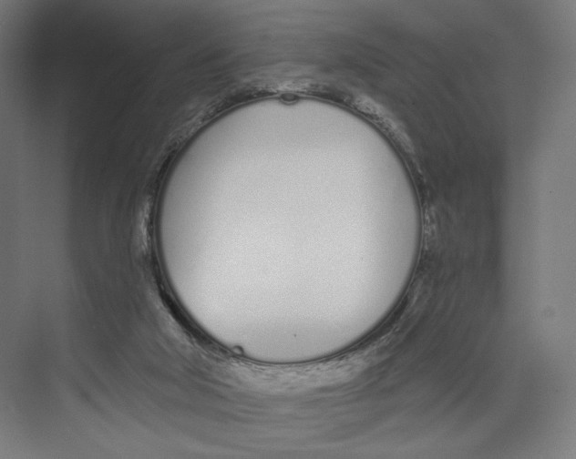 X0000073480018200608281601