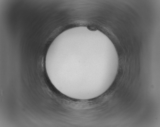 X0000073480024200608281601