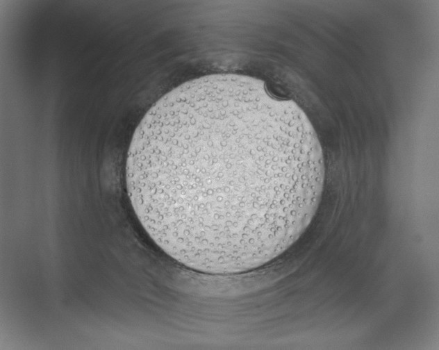 X0000073480030200608281601