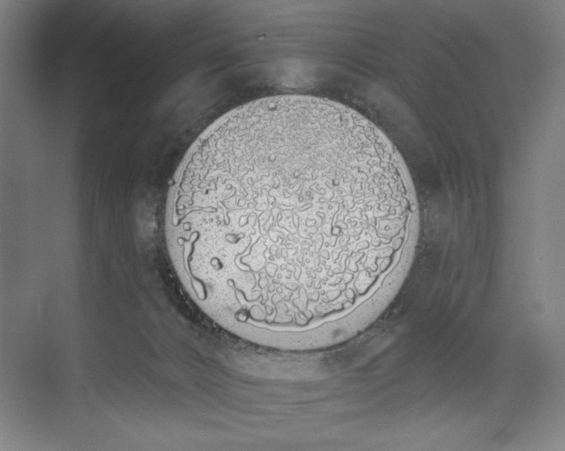 X0000073480032200608281601