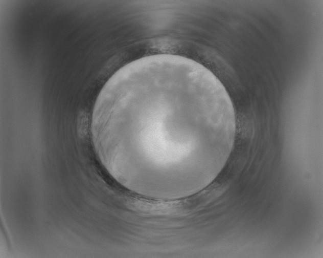 X0000073480036200608281601