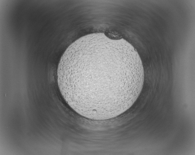 X0000073480038200608281601