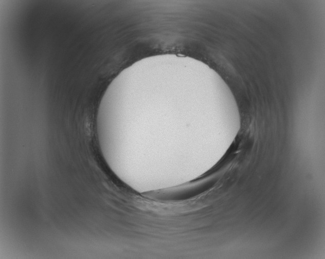 X0000073480039200608281601