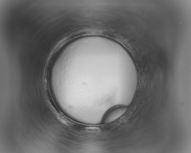 X0000073480053200608281600