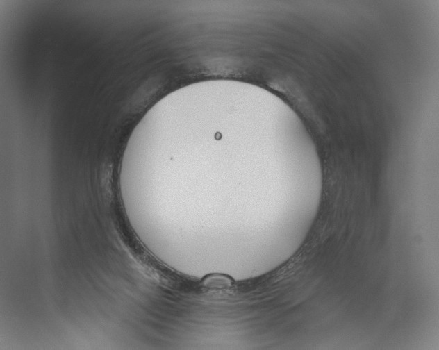 X0000073480066200608281600